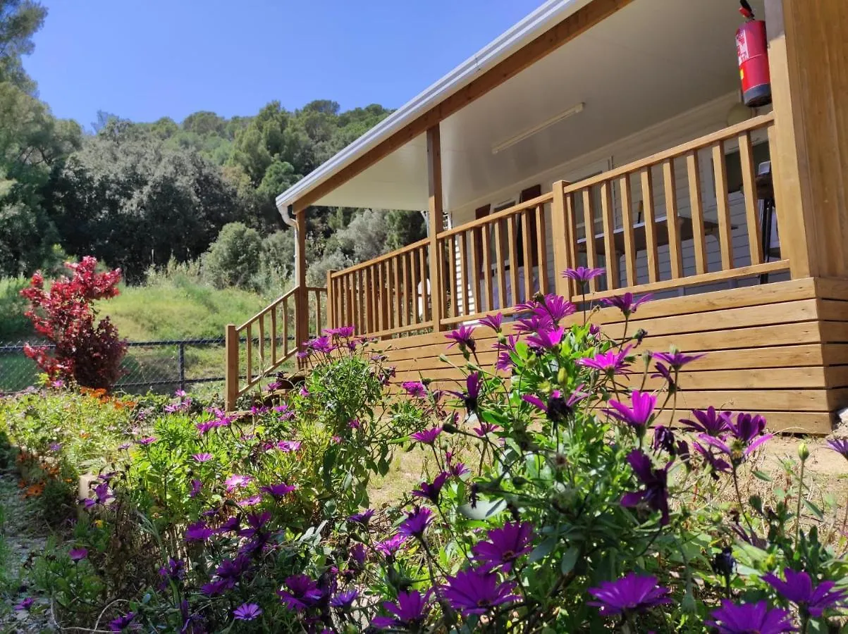 Camping Roca Grossa Calella 2*,  Spain