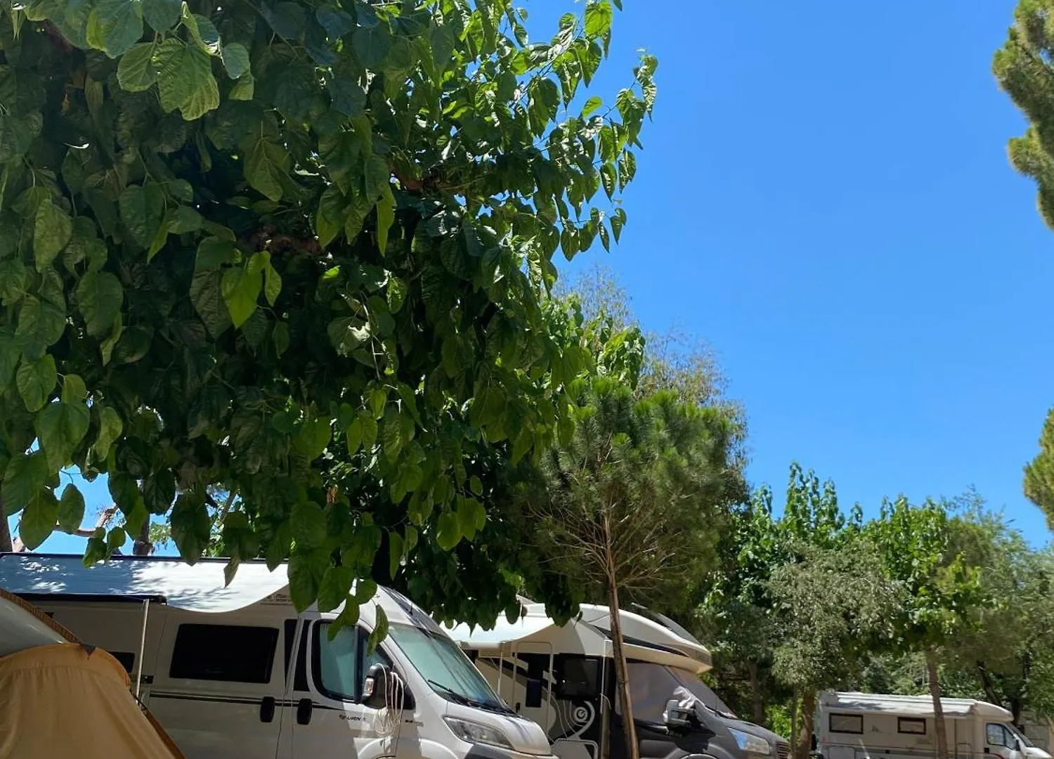 Camping Roca Grossa Calella Campsite